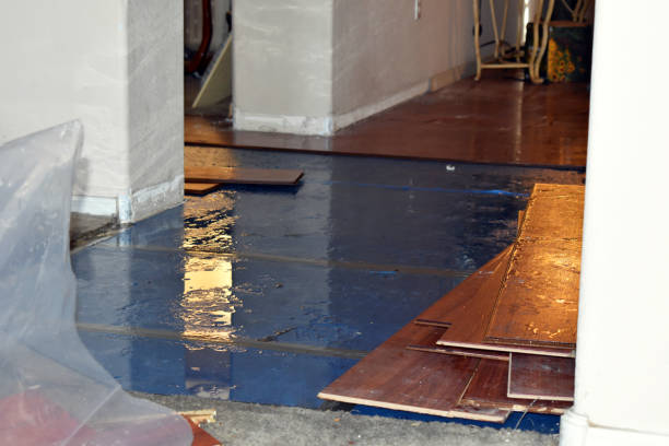 Professional Flood Damage Repair technician working in Atascosa, TX